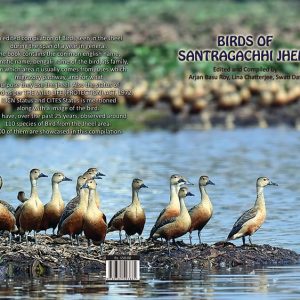 Birds of Santragachhi Jheel