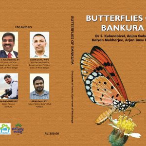 Butterflies of Bankura