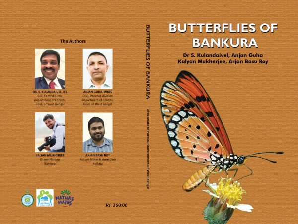 Butterflies of Bankura