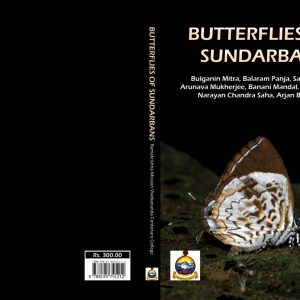 Butterflies of Sundarbans