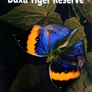 Butterflies of Buxa Tiger Reserve